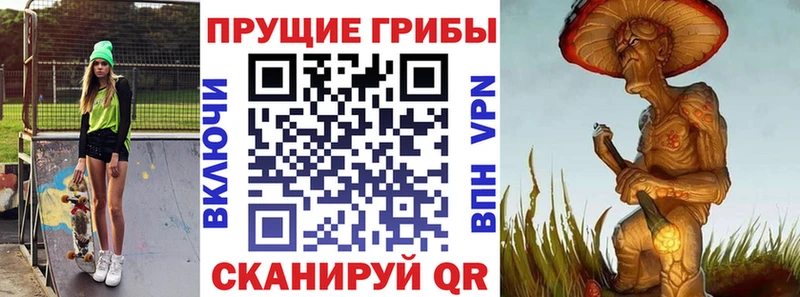 Псилоцибиновые грибы прущие грибы  цены   Багратионовск 